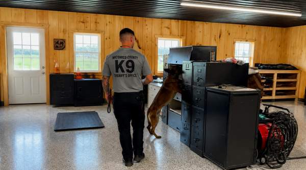 The Ultimate Guide to Procuring Police K9s: Why Departments Trust Delmarva K9's Lifetime Guarantee
